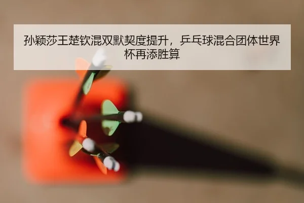 sun-ying-sha-wang-chu-qin-hun-shuang-mo-qi-du-ti-sheng-ping-pang-qiu-hun-he-tuan-ti-shi-jie-bei-zai-tian-sheng-suan-2-537.jpg